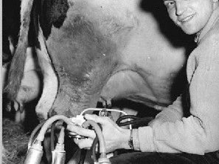 La machine à traire : histoire d'une invention La machine à traire : histoire d'une invention