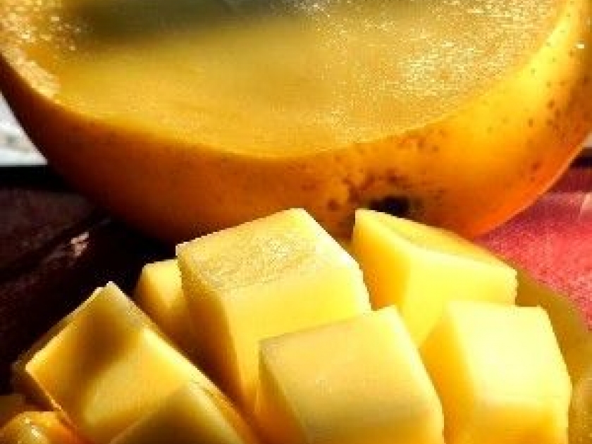 La mangue : un délicieux fruit tropical La mangue : un délicieux fruit tropical