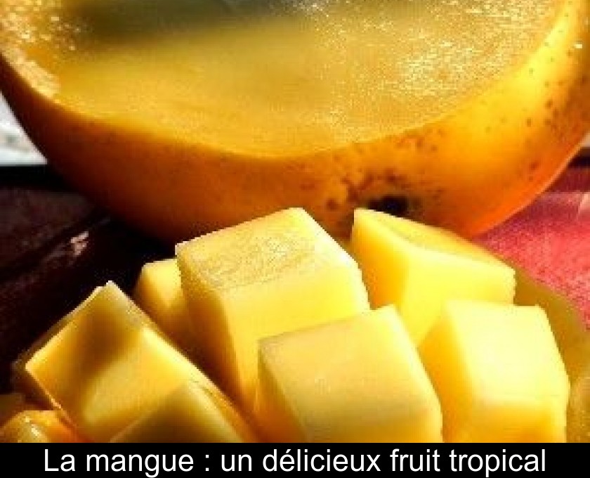 La mangue : un délicieux fruit tropical La mangue : un délicieux fruit tropical