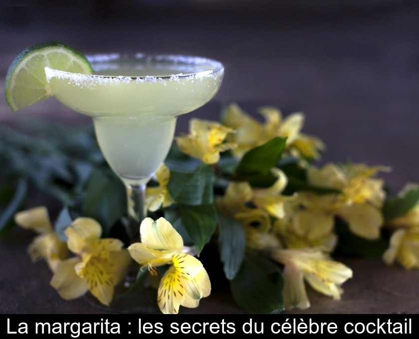 La margarita : les secrets du célèbre cocktail La margarita : les secrets du célèbre cocktail
