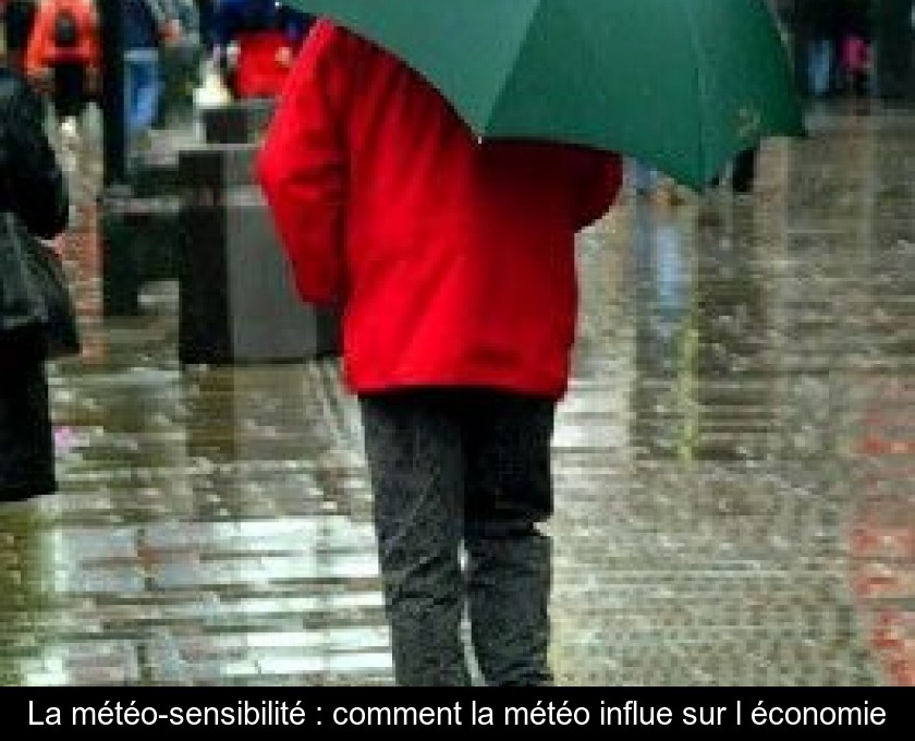 La météo-sensibilité : comment la météo influe sur l'économie La météo-sensibilité : comment la météo influe sur l'économie