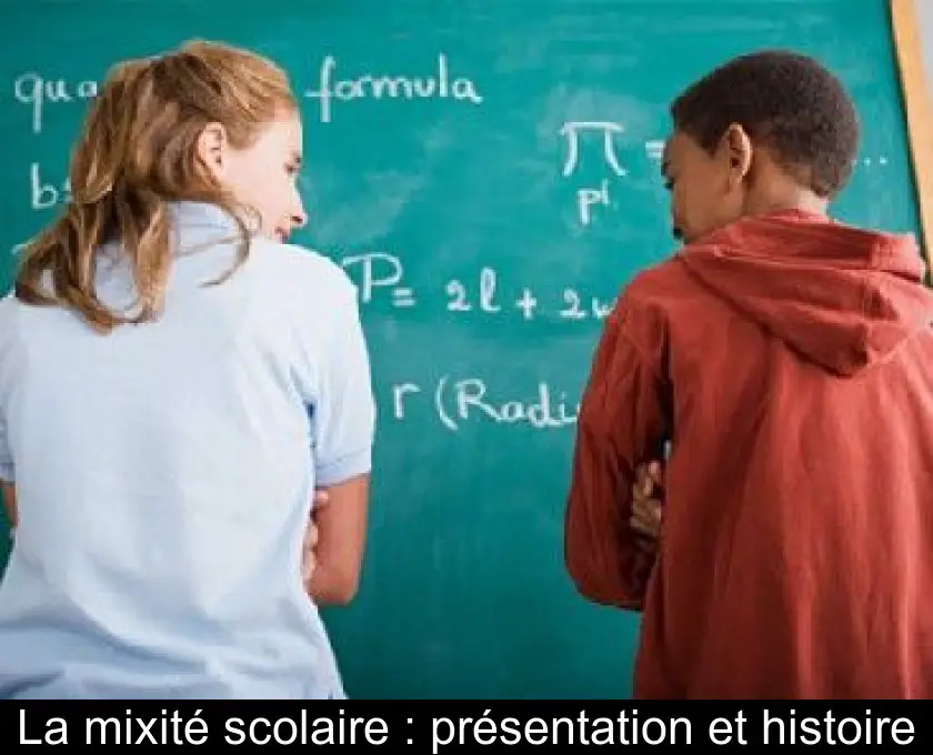 La mixité scolaire : présentation et histoire