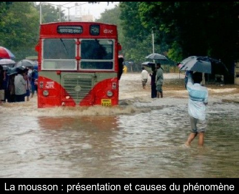 La mousson : présentation et causes du phénomène La mousson : présentation et causes du phénomène