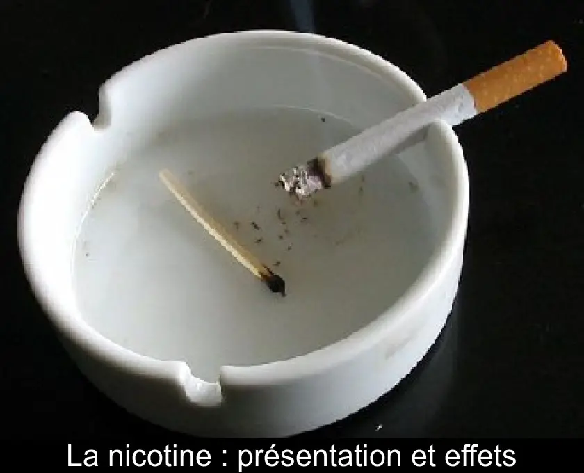 La nicotine : présentation et effets