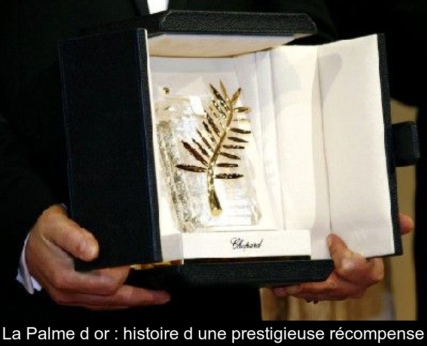 La Palme d'or : histoire d'une prestigieuse récompense La Palme d'or : histoire d'une prestigieuse récompense