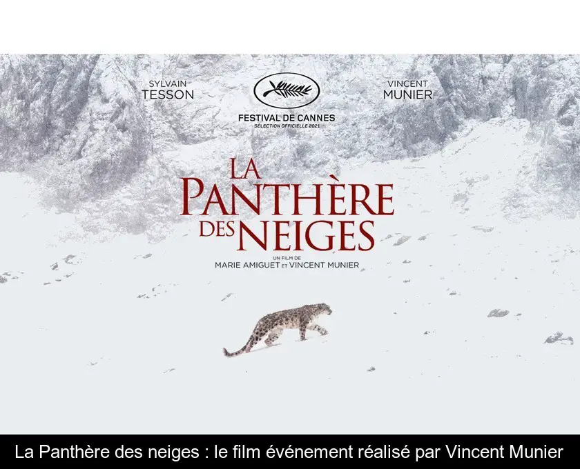 La Panthère des neiges : le film événement réalisé par Vincent Munier