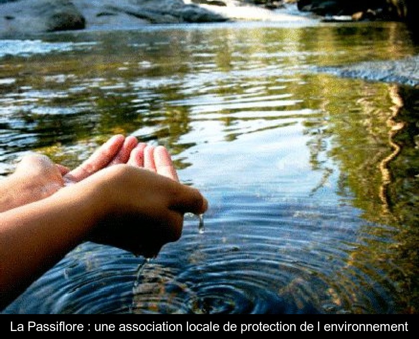 La Passiflore : une association locale de protection de l'environnement La Passiflore : une association locale de protection de l'environnement