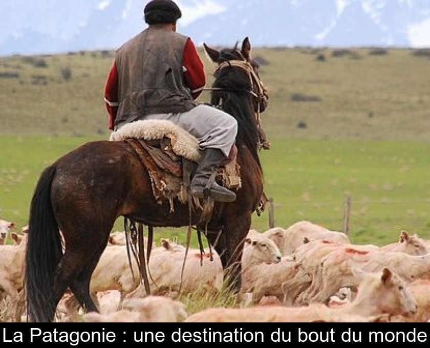 La Patagonie : une destination du bout du monde