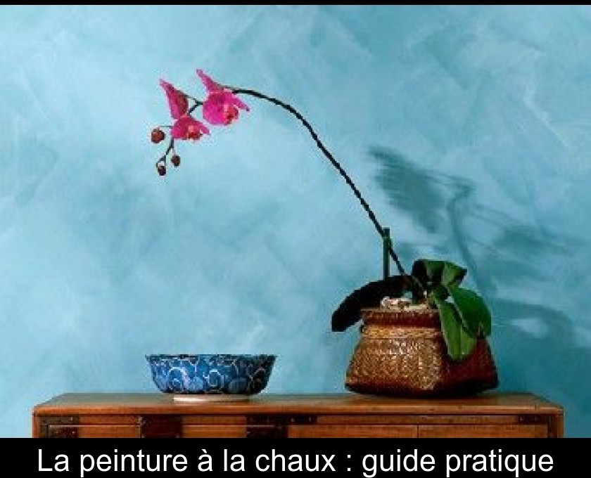 La peinture à la chaux : guide pratique La peinture à la chaux : guide pratique