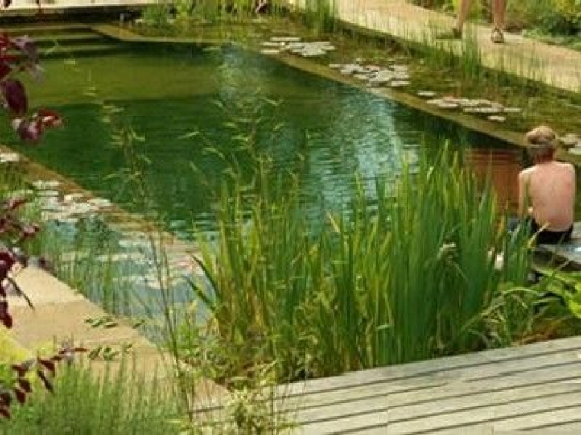 La piscine naturelle : présentation et avantages La piscine naturelle : présentation et avantages