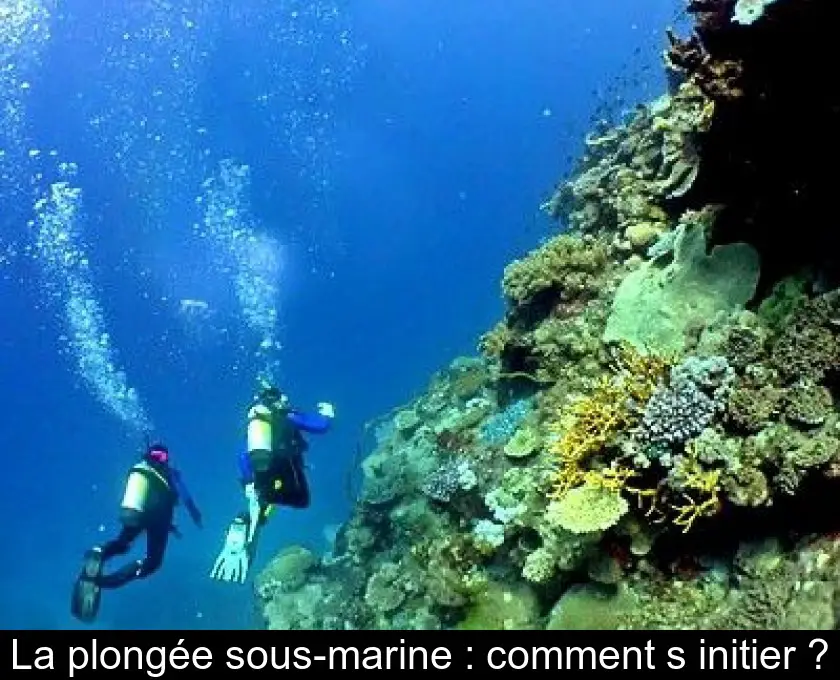La plongée sous-marine : comment s'initier ?