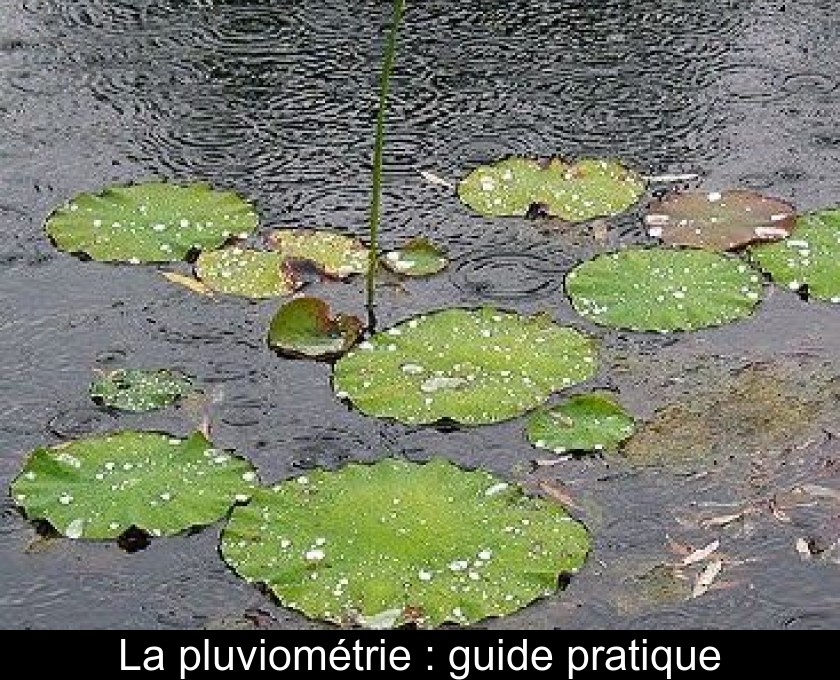 La pluviométrie : guide pratique La pluviométrie : guide pratique
