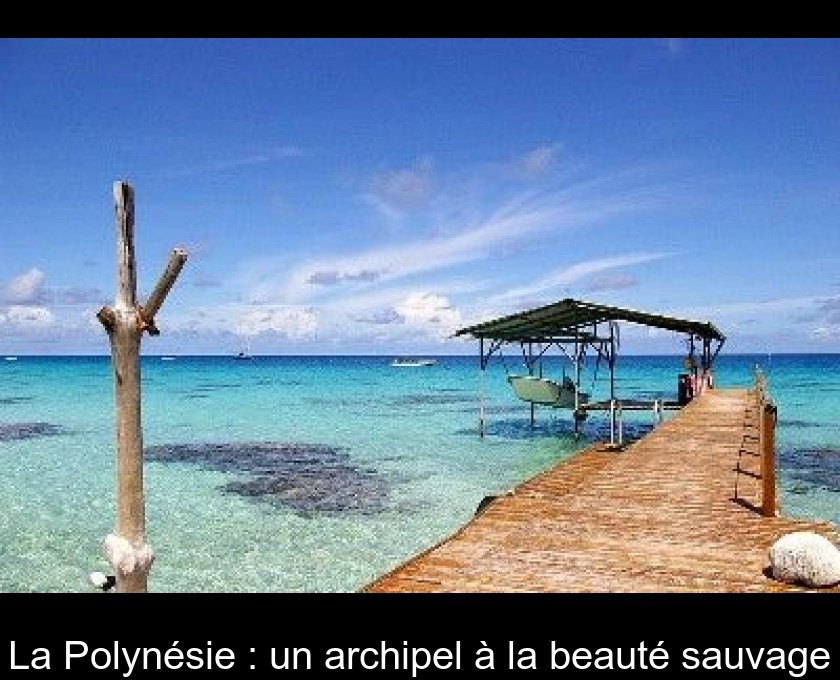 La Polynésie : un archipel à la beauté sauvage La Polynésie : un archipel à la beauté sauvage