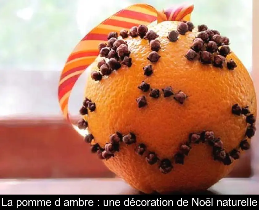 La pomme d'ambre : une décoration de Noël naturelle