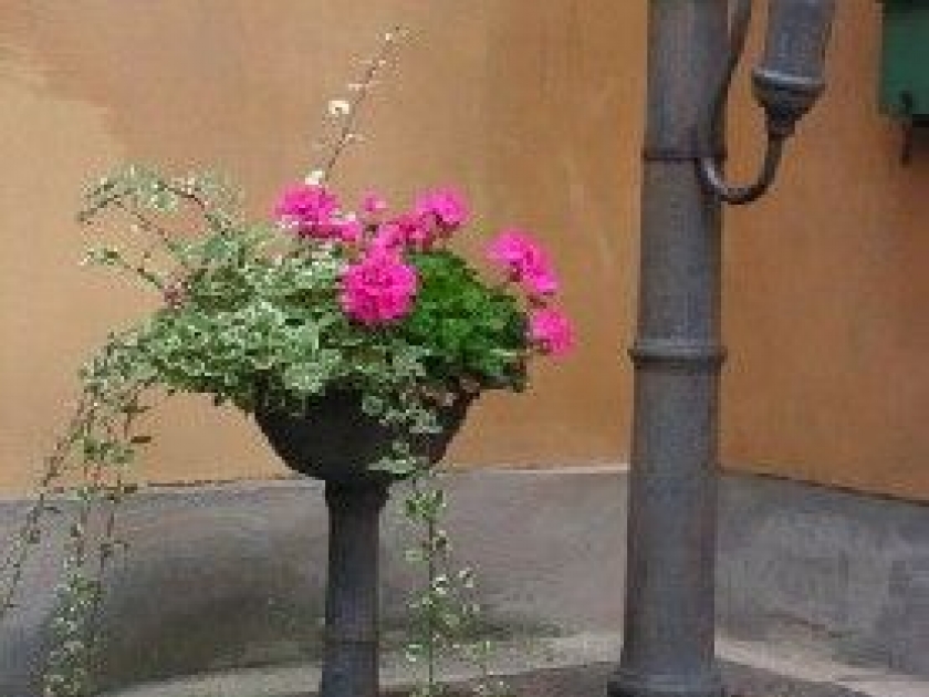 La pompe à eau : histoire d'une invention La pompe à eau : histoire d'une invention