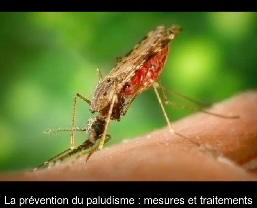 La prévention du paludisme : mesures et traitements
