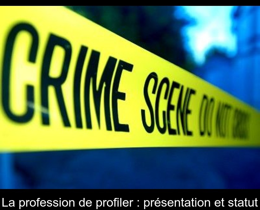 La profession de profiler : présentation et statut La profession de profiler : présentation et statut