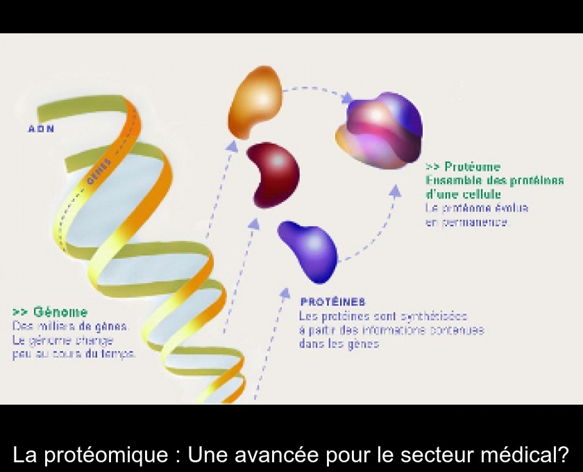La protéomique : Une avancée pour le secteur médical? La protéomique : Une avancée pour le secteur médical?
