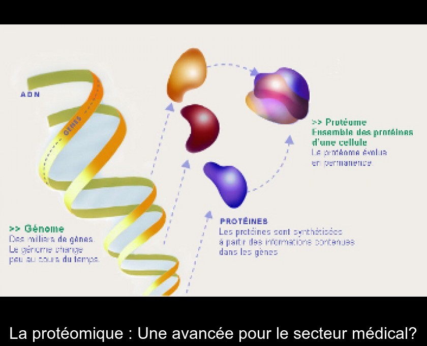 La protéomique : Une avancée pour le secteur médical?