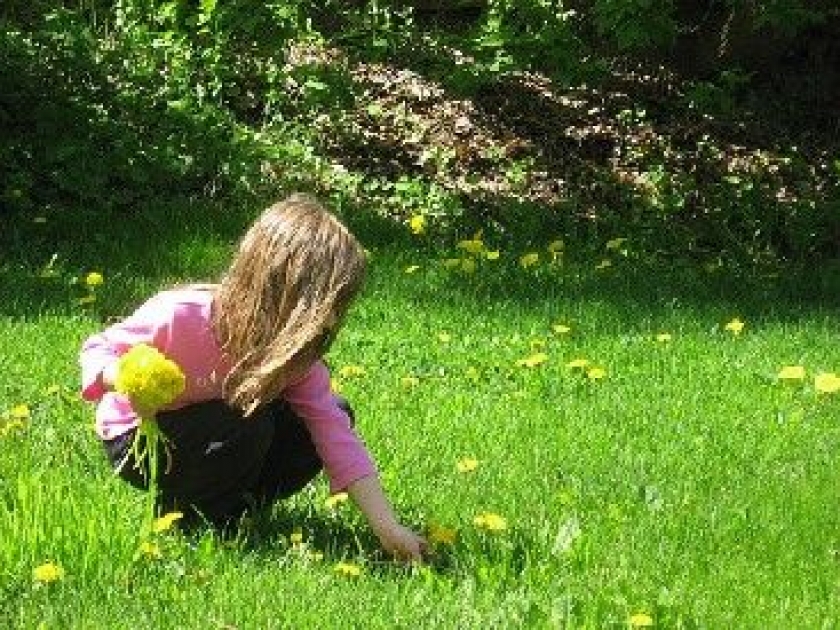 La psychologie positive : quand la science s'intéresse au bonheur La psychologie positive : quand la science s'intéresse au bonheur