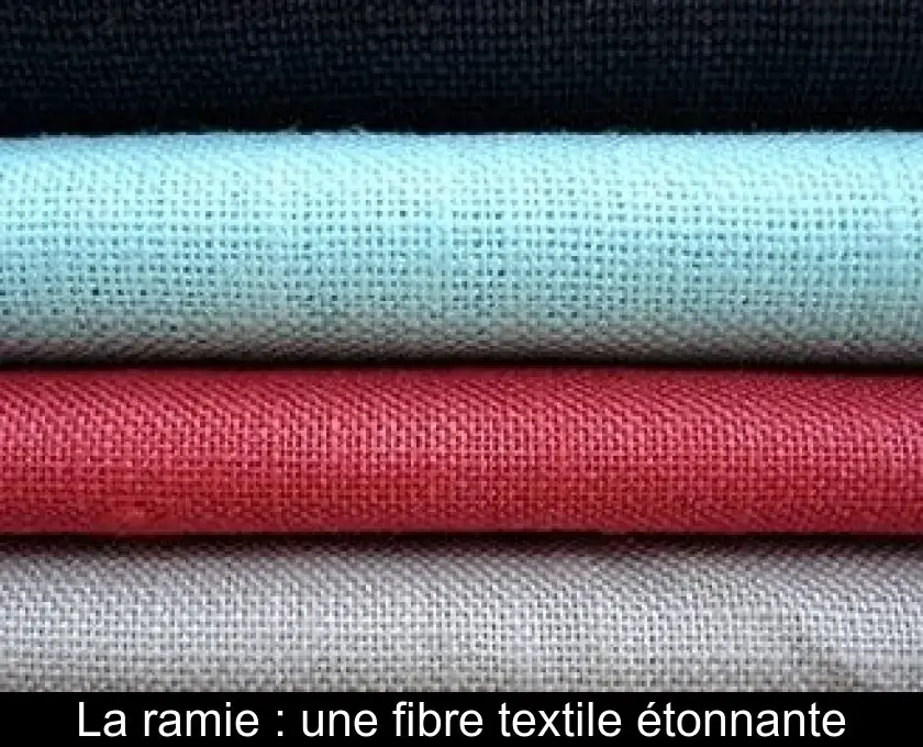 La ramie : une fibre textile étonnante
