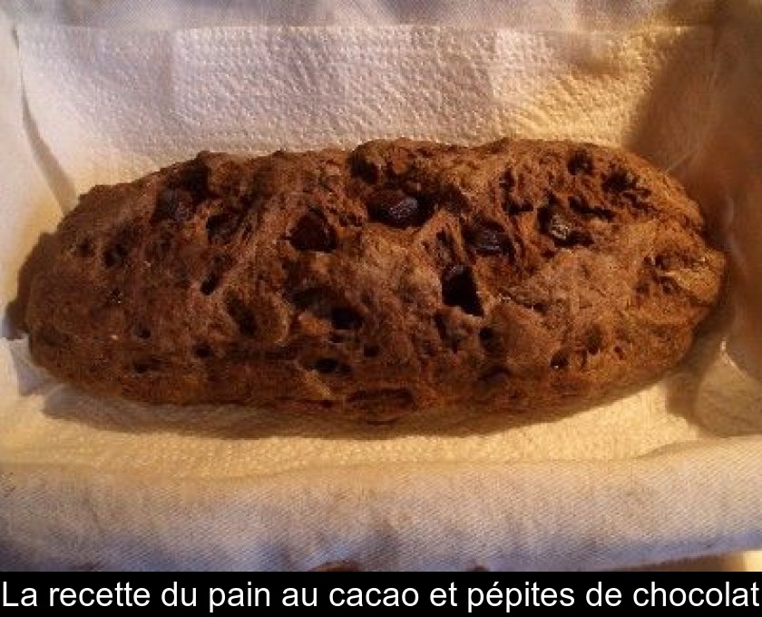 La Recette Du Pain Au Cacao Et Pepites De Chocolat