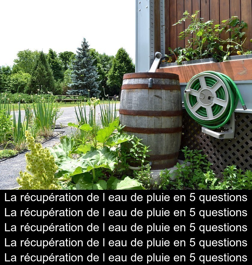 La récupération de l'eau de pluie en 5 questions