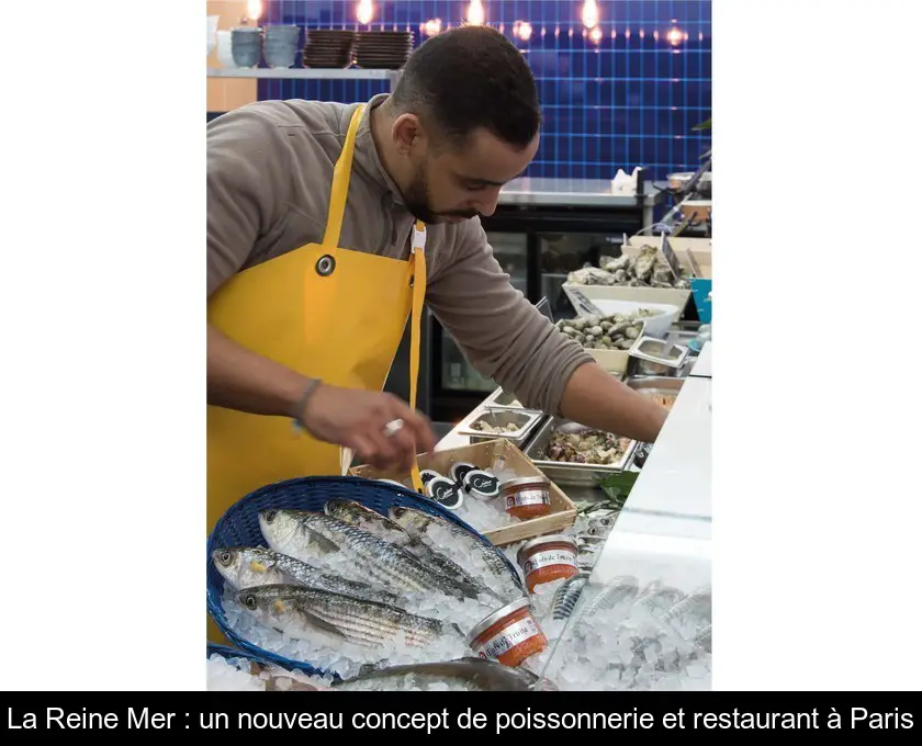 La Reine Mer : un nouveau concept de poissonnerie et restaurant à Paris