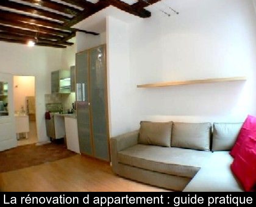 renovation appartement guide