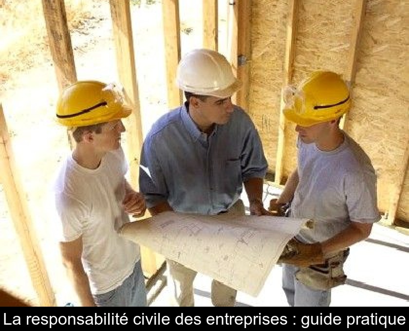 La responsabilité civile des entreprises : guide pratique La responsabilité civile des entreprises : guide pratique