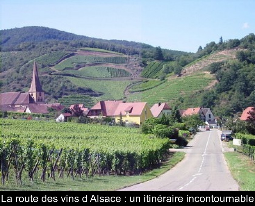 La route des vins d'Alsace : un itinéraire incontournable