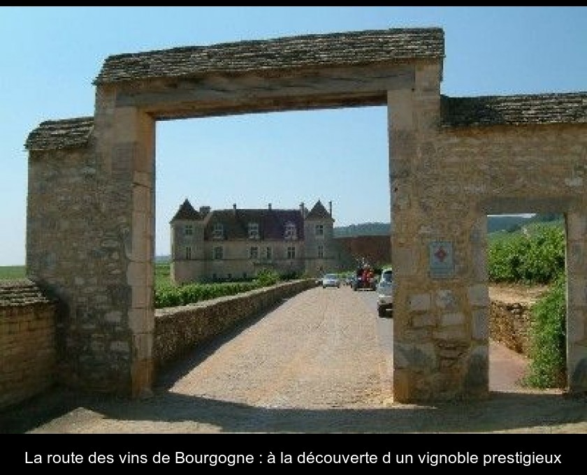 La route des vins de Bourgogne : à la découverte d'un vignoble prestigieux La route des vins de Bourgogne : à la découverte d'un vignoble prestigieux