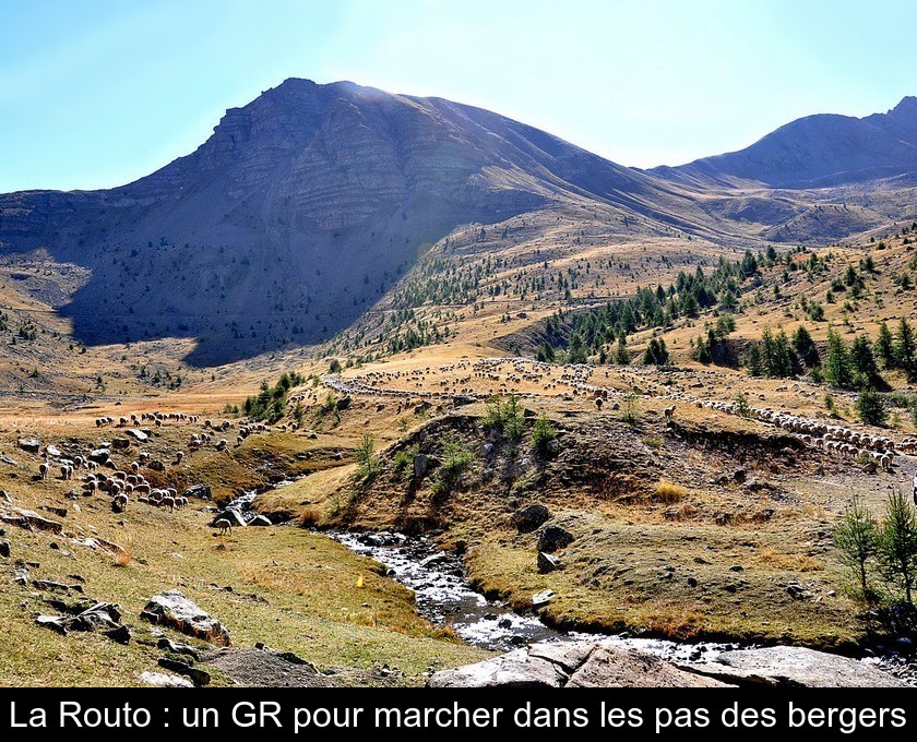 La Routo : un GR pour marcher dans les pas des bergers La Routo : un GR pour marcher dans les pas des bergers
