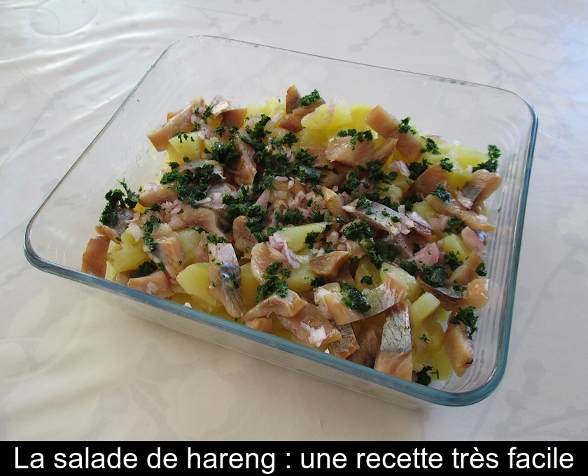 La salade de hareng : une recette très facile La salade de hareng : une recette très facile