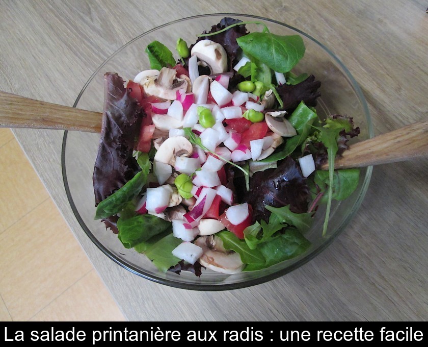 La salade printanière aux radis : une recette facile La salade printanière aux radis : une recette facile