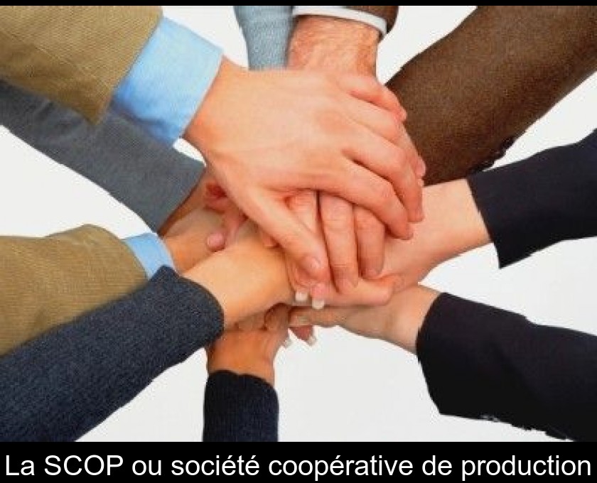 La SCOP ou société coopérative de production La SCOP ou société coopérative de production