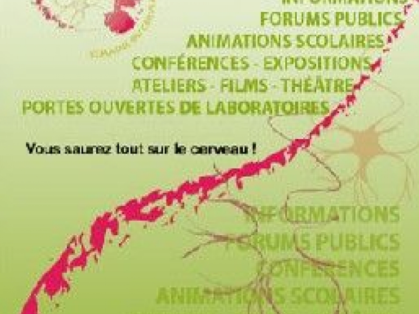 La Semaine du cerveau : des animations sur le fonctionnement du cerveau La Semaine du cerveau : des animations sur le fonctionnement du cerveau