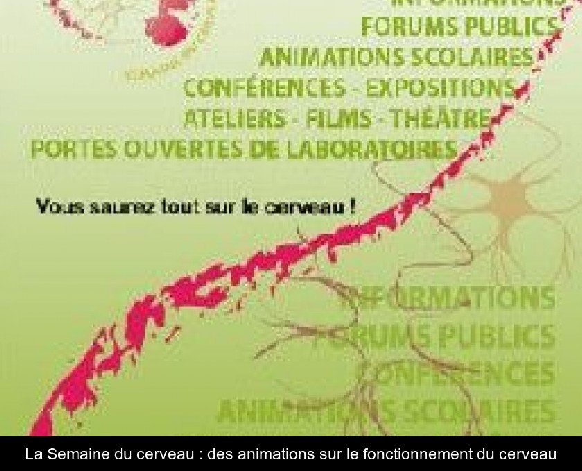 La Semaine du cerveau : des animations sur le fonctionnement du cerveau La Semaine du cerveau : des animations sur le fonctionnement du cerveau