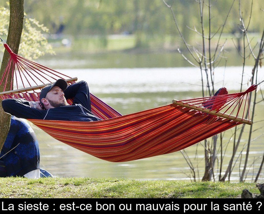 La sieste : une saine habitude La sieste : une saine habitude