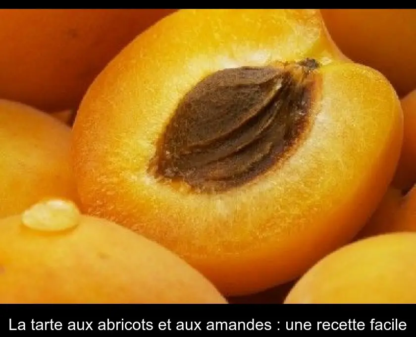 La tarte aux abricots et aux amandes : une recette facile