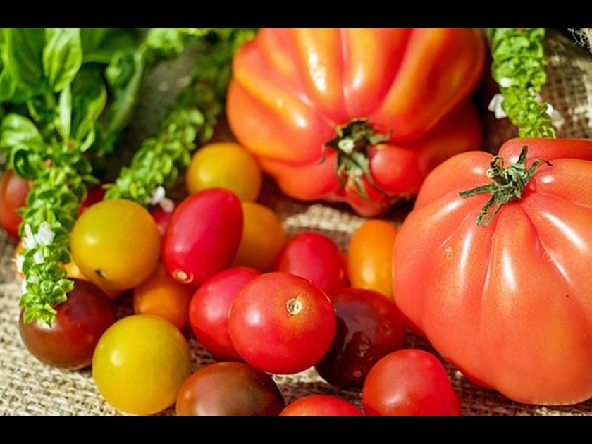 La tomate ananas : une variété à découvrir La tomate ananas : une variété à découvrir