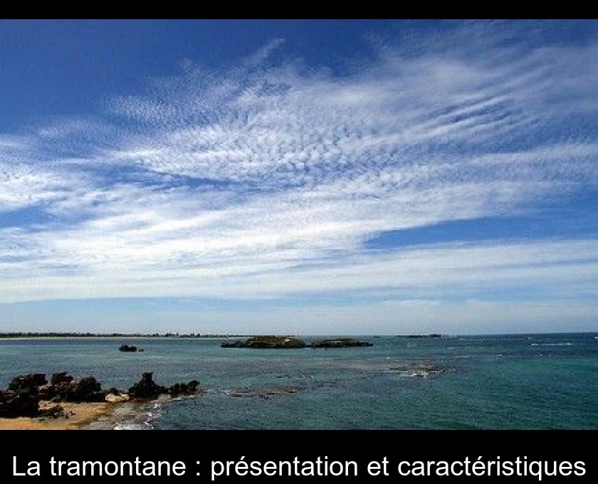 La tramontane : présentation et caractéristiques