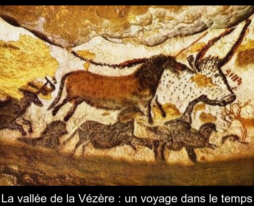 La vallée de la Vézère : un voyage dans le temps La vallée de la Vézère : un voyage dans le temps