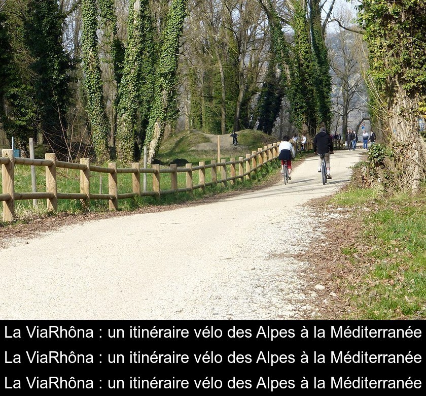 La ViaRhôna : un itinéraire vélo des Alpes à la Méditerranée