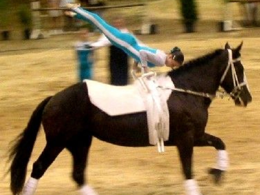 La voltige équestre : une discipline spectaculaire La voltige équestre : une discipline spectaculaire