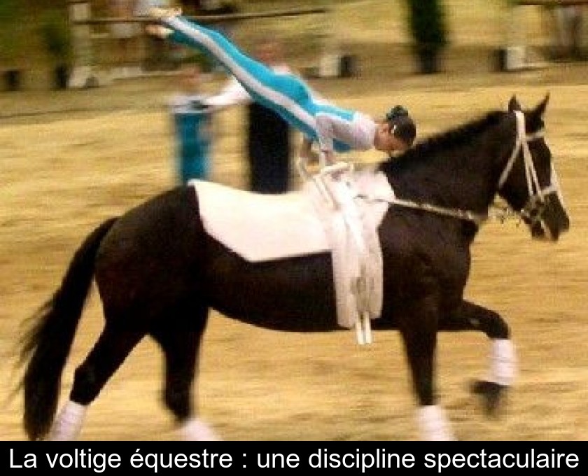 La voltige équestre : une discipline spectaculaire La voltige équestre : une discipline spectaculaire