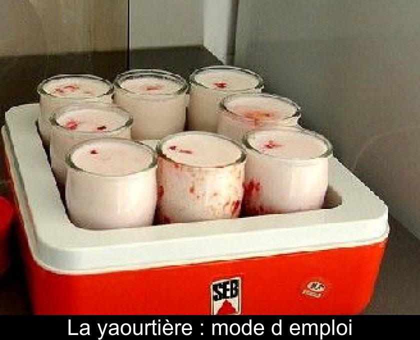 Comment faire des yaourts avec une yaourtière ?