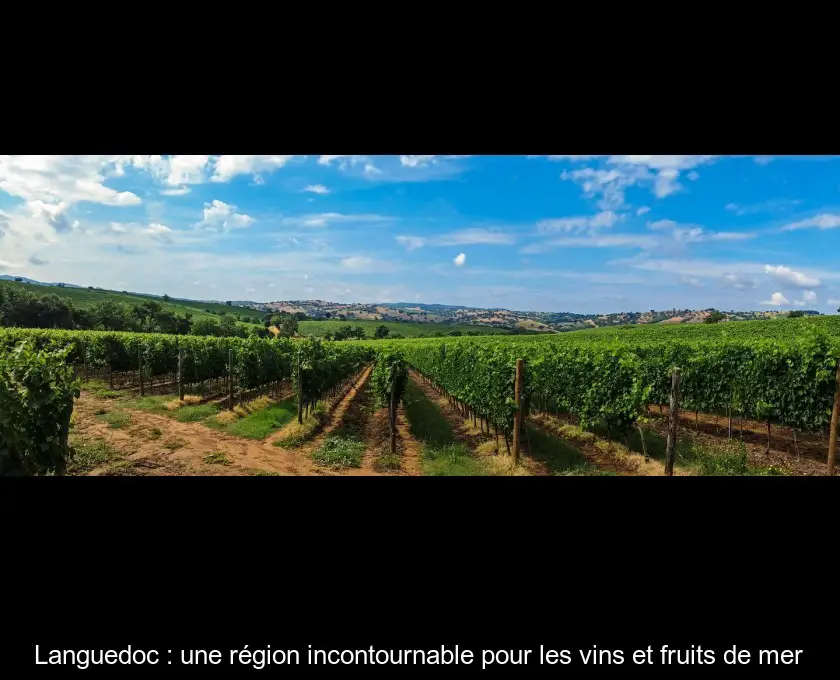 Languedoc : une région incontournable pour les vins et fruits de mer