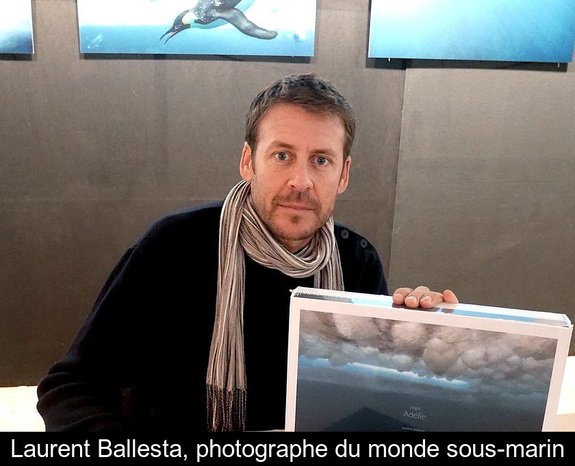 Laurent Ballesta, photographe du monde sous-marin Laurent Ballesta, photographe du monde sous-marin