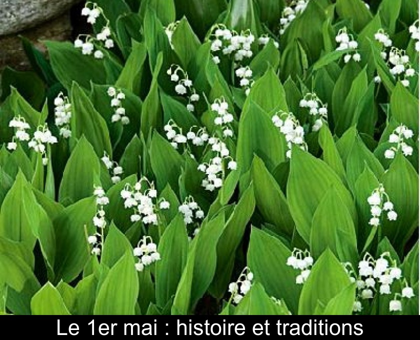 Le 1er mai : histoire et traditions Le 1er mai : histoire et traditions